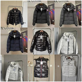 Moncler Madeira Serie Kurze Daunenjacke Reißverschluss Fit Kapuze Langärmel Daunenjacke-4287  